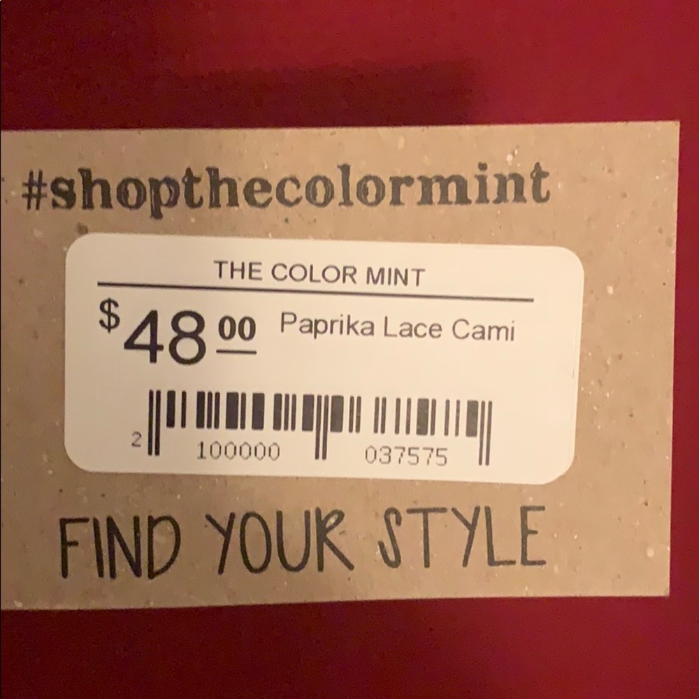 NWT! Dex Paprika Lace Cami!! - Picture 4 of 5